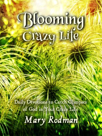 Blooming Crazy Life: Daily Devotions to Catch Glimpses of God in Your Crazy Life