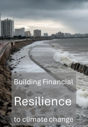 Building financial resilience for an uninsurable future