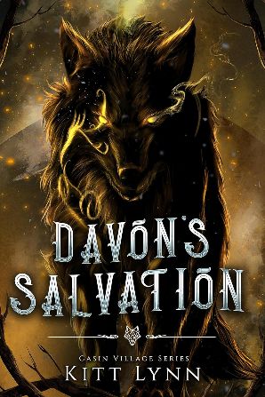 Davon's Salvation : Book Two in the Casin Village Series