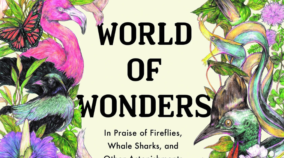 Exploring Literary Wonders: A Journey Through Captivating Books